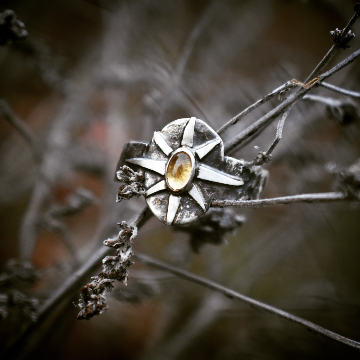 Solstice ring view 3