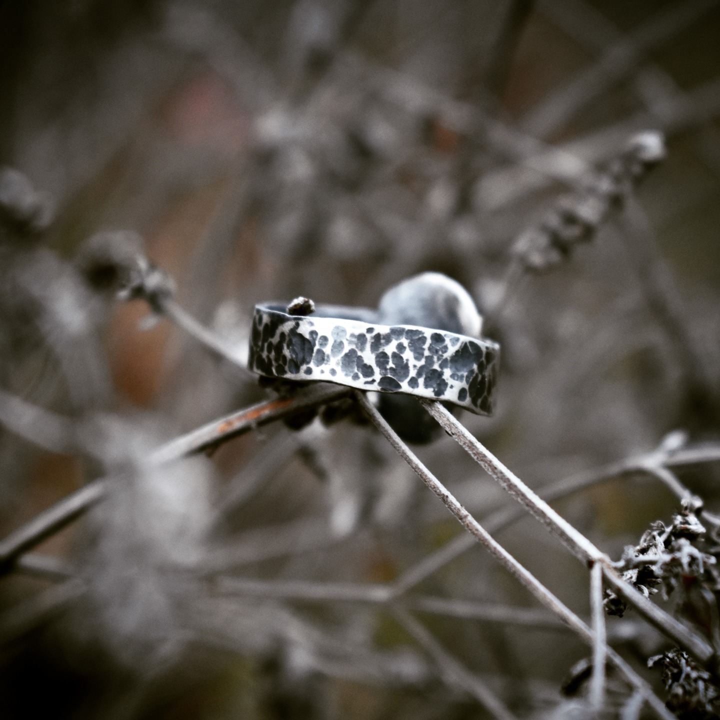 Solstice ring view 4