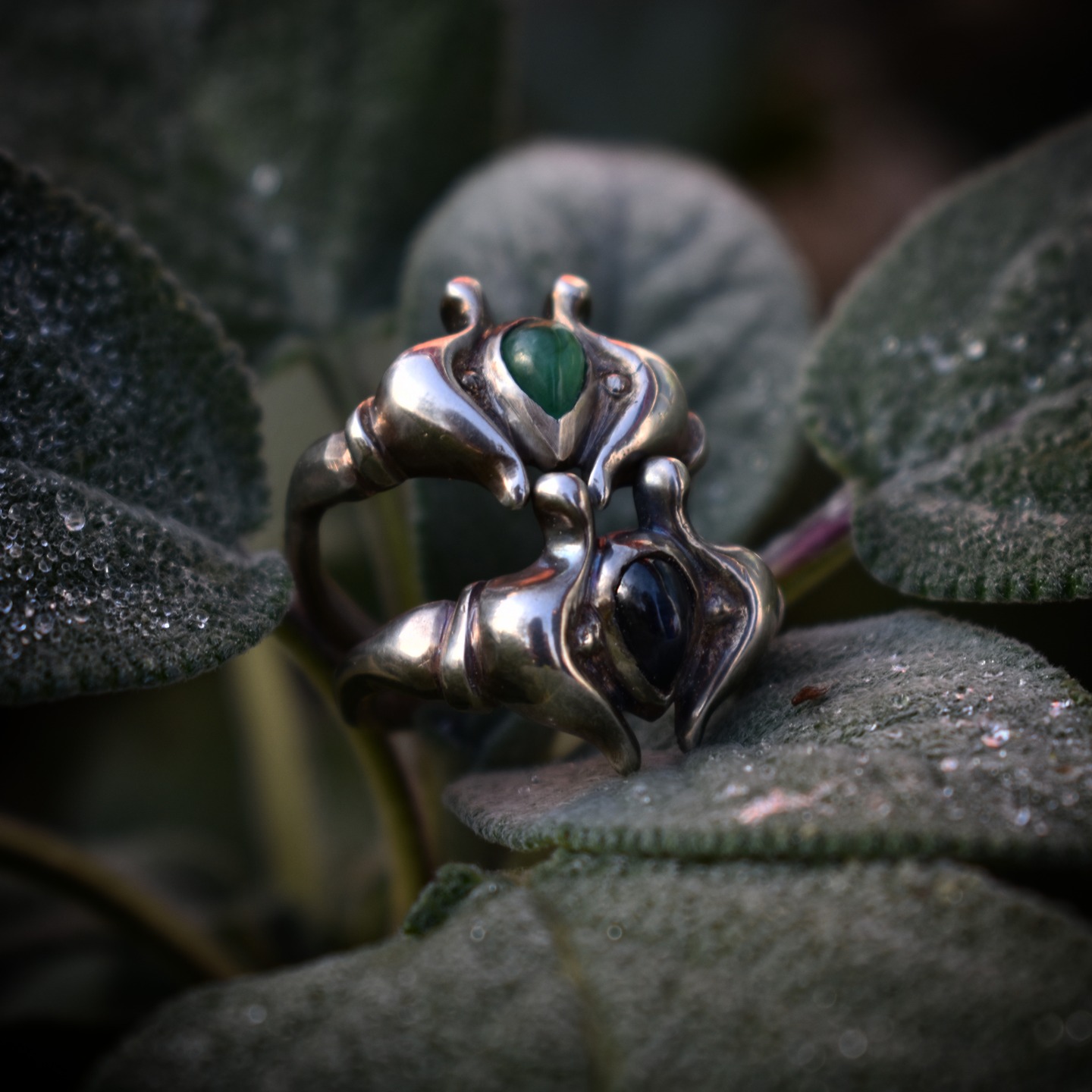 Sage's Vision ring view 2