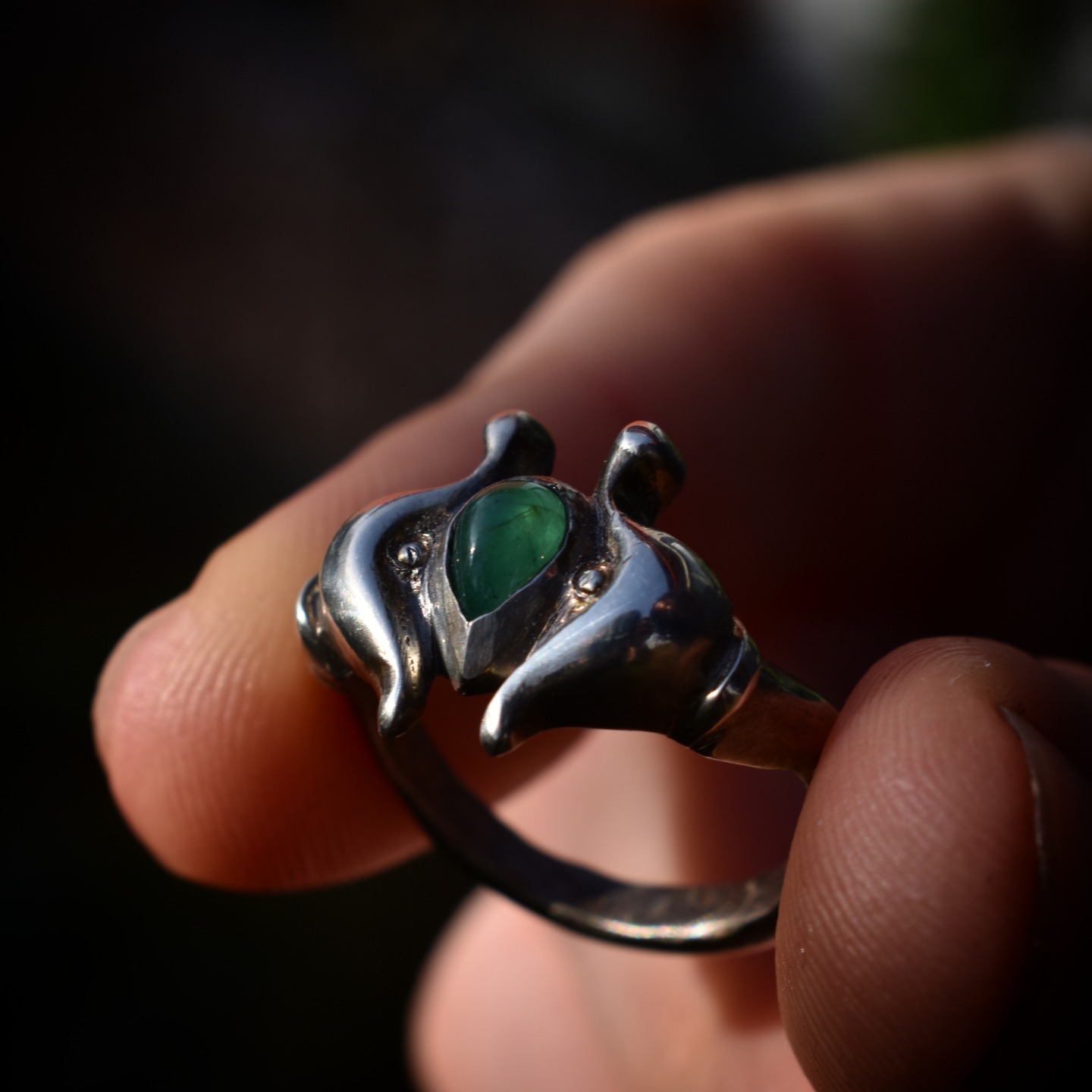 Sage's Vision ring view 6